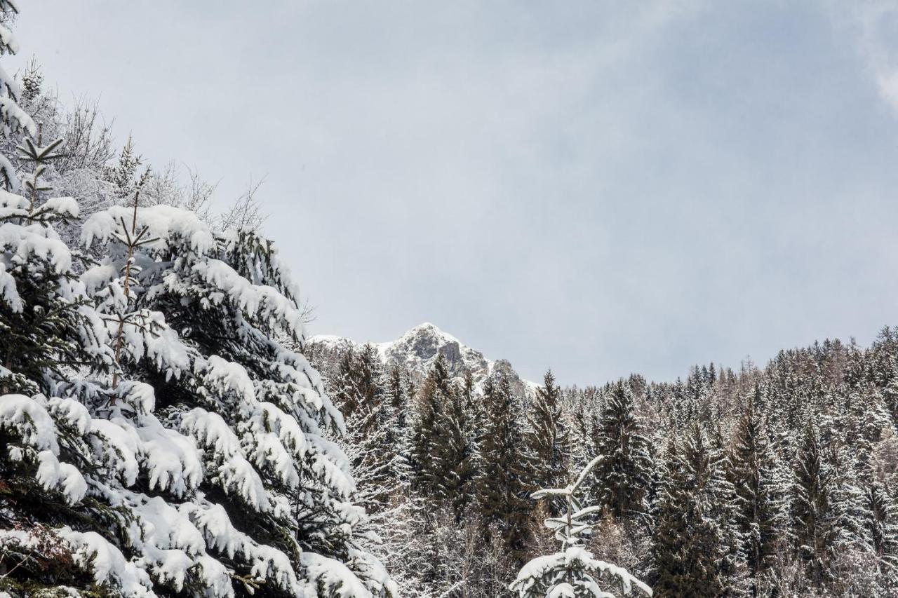 Hotel Alpenhof ウルティモ エクステリア 写真