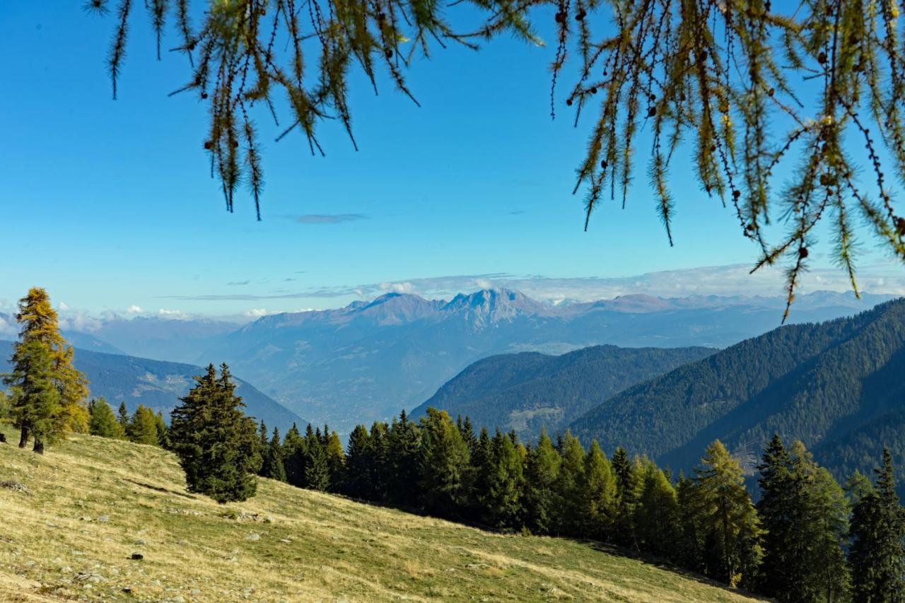 Hotel Alpenhof ウルティモ エクステリア 写真